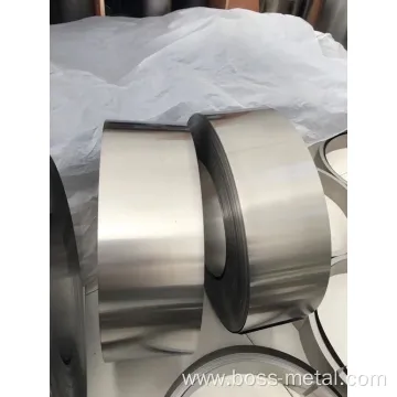 foil stainless duplex Ti strip